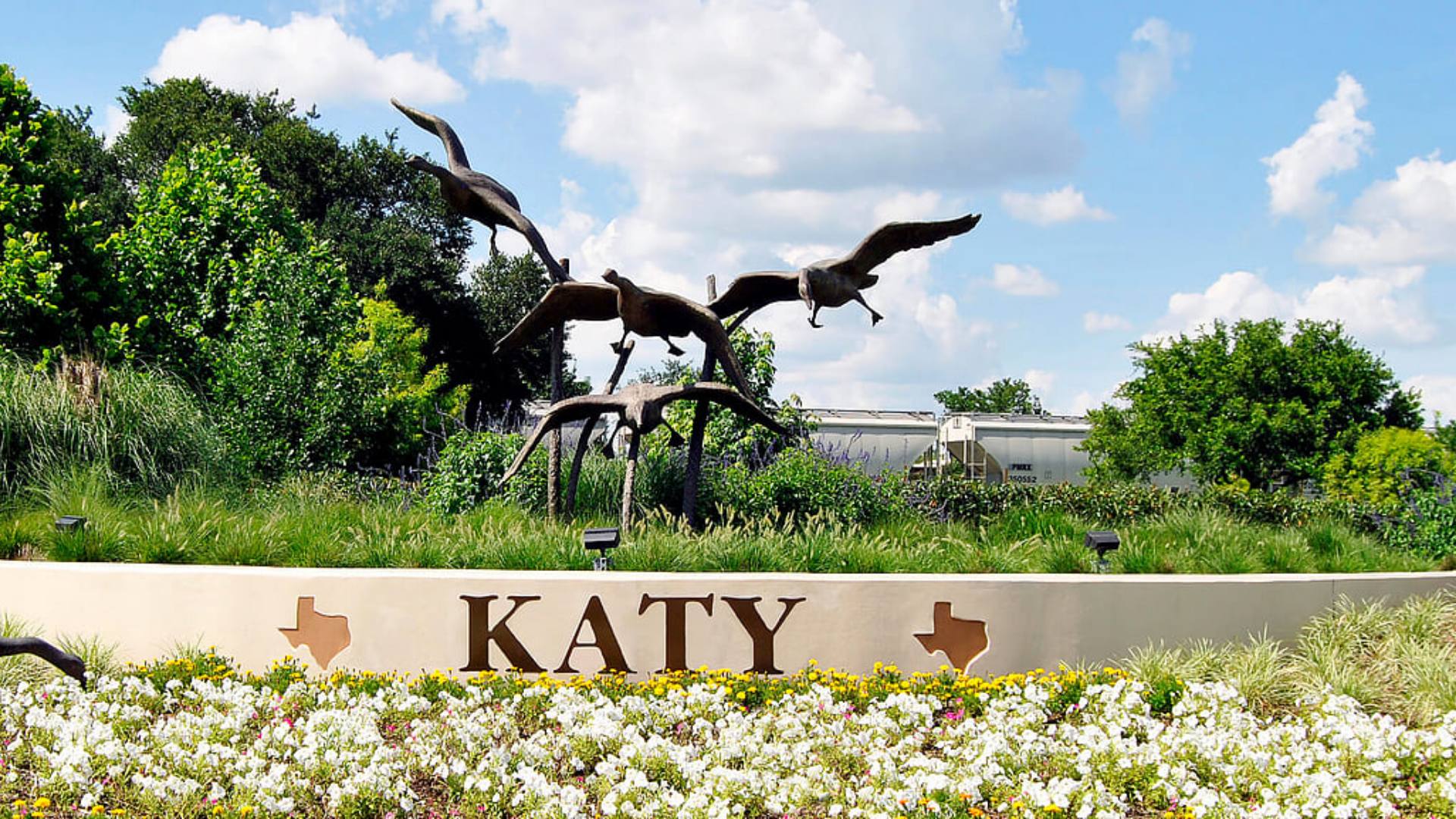 Pool Automation in Katy, TX